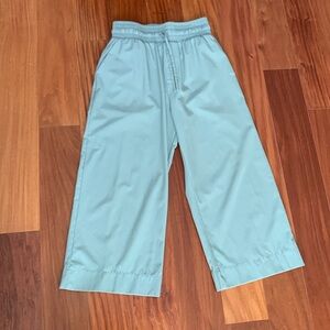 Albion Wide Leg Pants in Light Blue